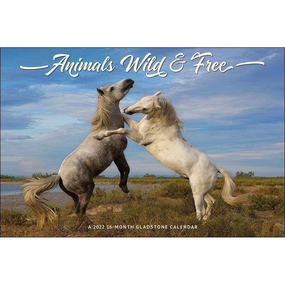 Wild And Free 2022 Wall Calendar