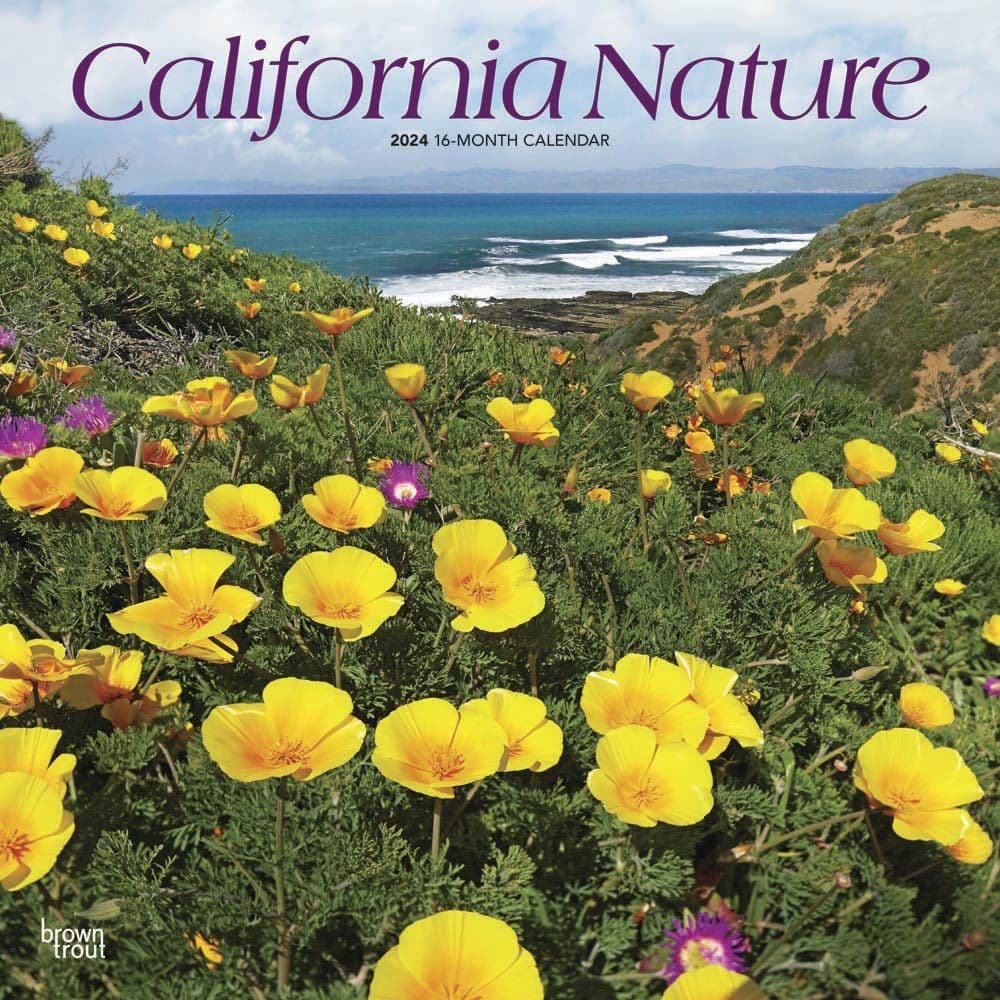 California Nature 2024 Wall Calendar Main Product Image width=&quot;1000&quot; height=&quot;1000&quot;