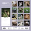 image Ferrets 2025 Wall Calendar Alt1