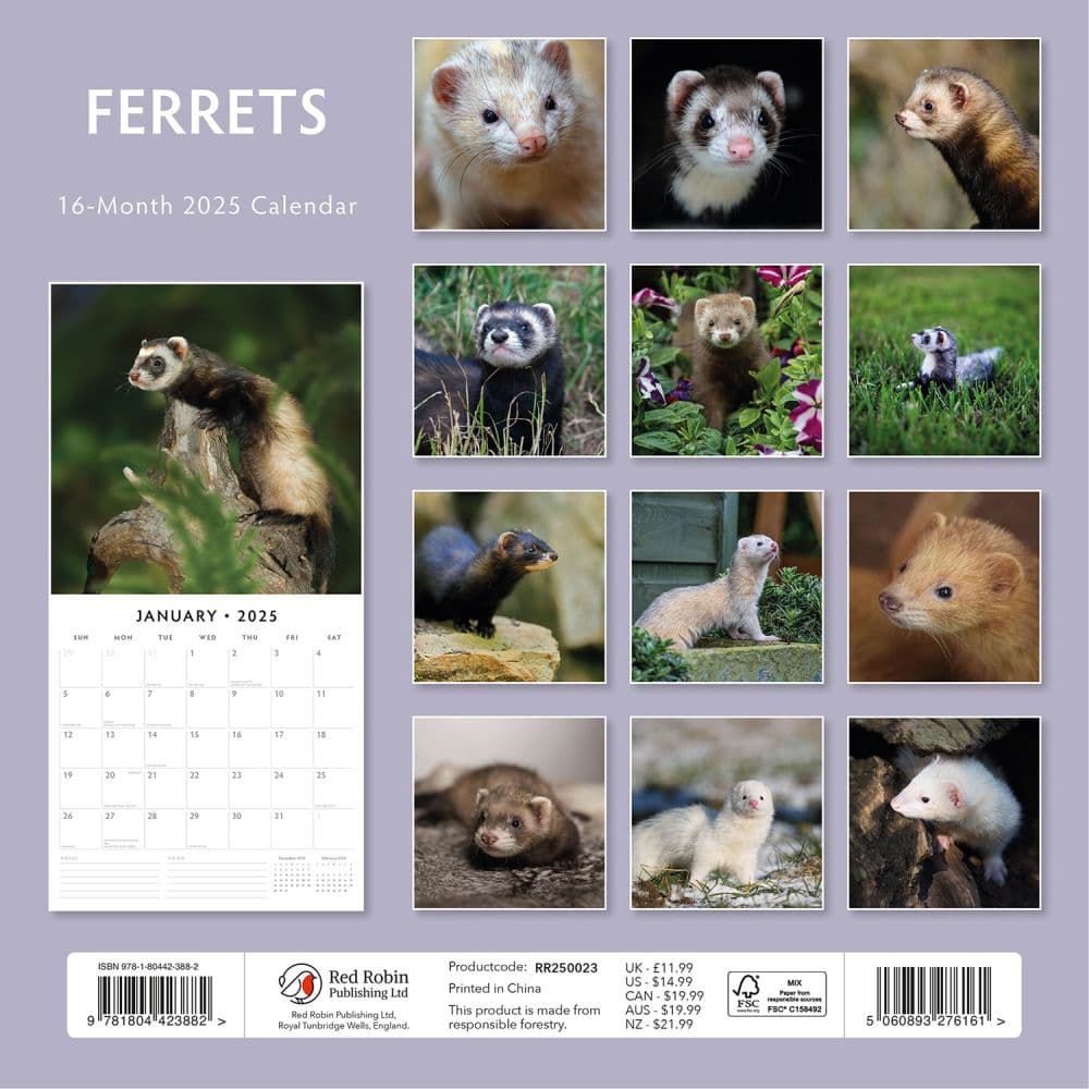 Ferrets 2025 Wall Calendar Alt1