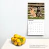 image Australian Cattle Dogs 2024 Wall Calendar Third Alternate Image width=&quot;1000&quot; height=&quot;1000&quot;
