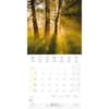 image Deep Forest 2025 Wall Calendar Fifth Alternate Image width=&quot;1000&quot; height=&quot;1000&quot;