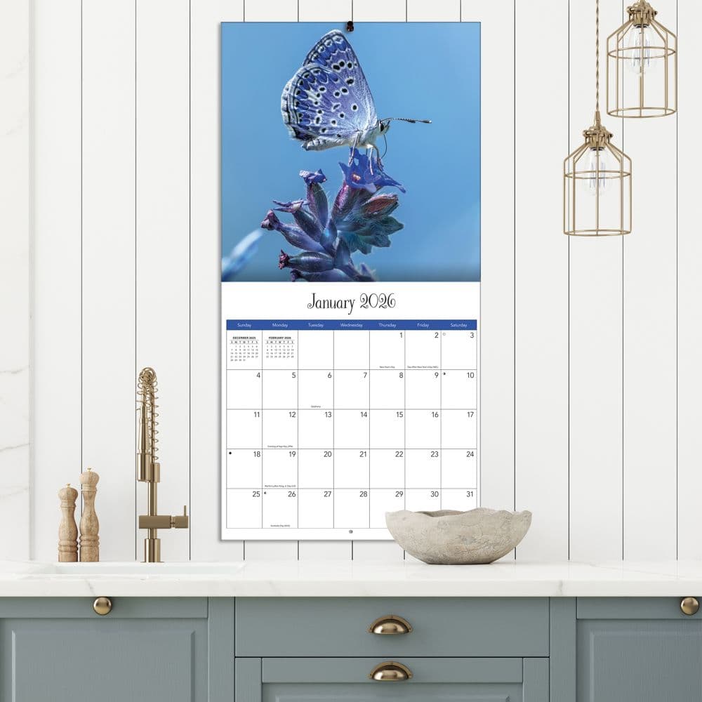 Butterflies Photo 2026 Wall Calendar_ALT4