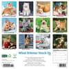 image What Kittens Teach Us 2026 Wall Calendar First Alternate Image