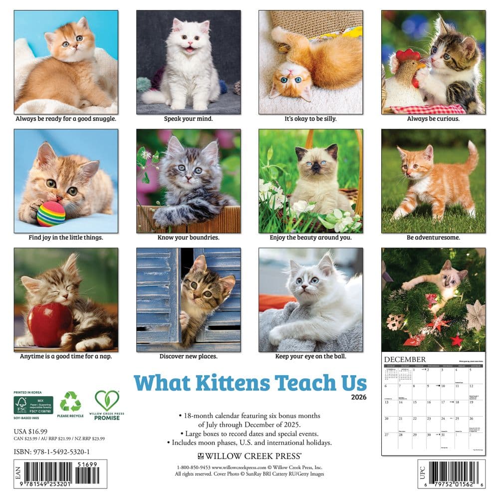 What Kittens Teach Us 2026 Wall Calendar First Alternate Image