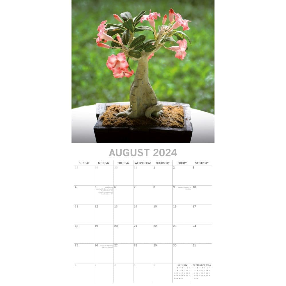 Bonsai 2024 Wall Calendar