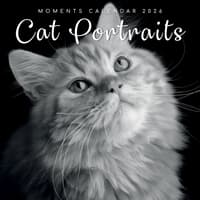 image Cat Portraits 2026 Wall Calendar  Main Image
