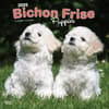 image Bichon Frise Puppies 2025 Wall Calendar Main Product Image width=&quot;1000&quot; height=&quot;1000&quot;