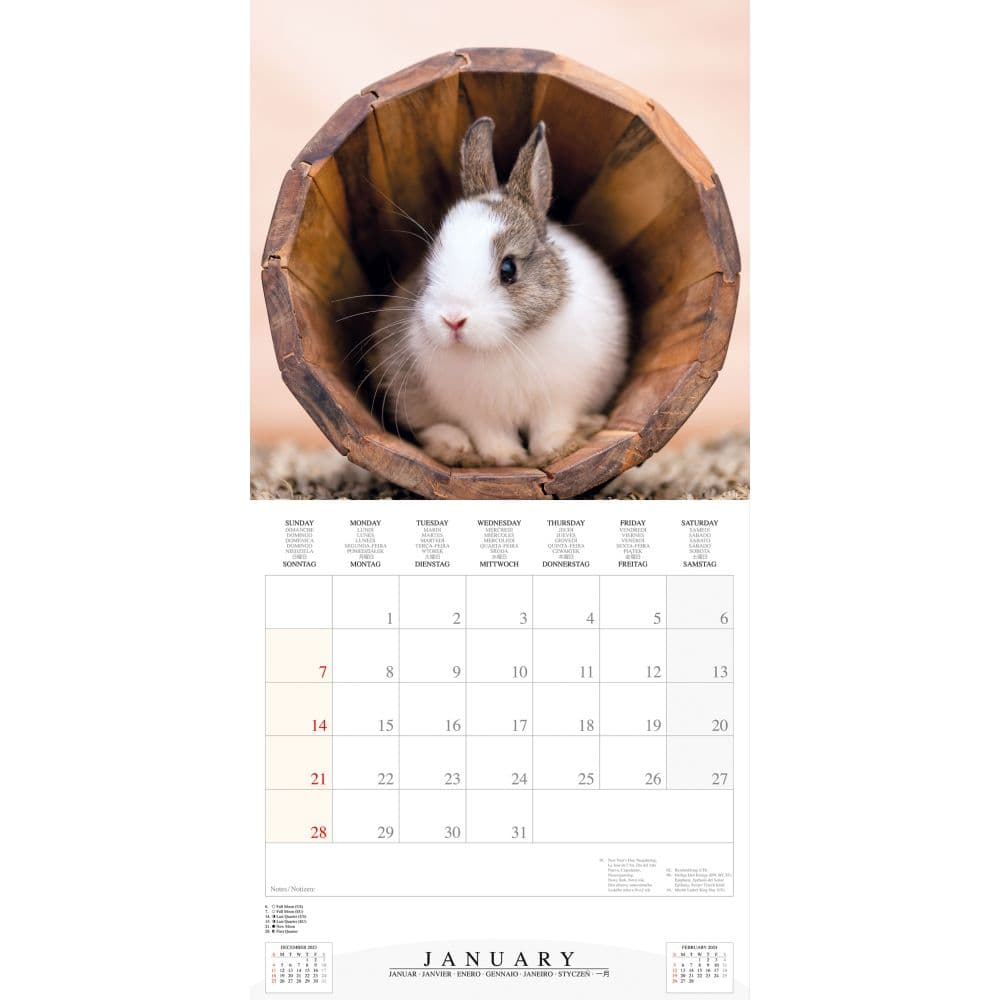 Rabbits 2024 Wall Calendar Second Alternate Image width=&quot;1000&quot; height=&quot;1000&quot;