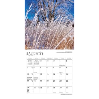 Minnesota 2024 Mini Wall Calendar - Calendars.com