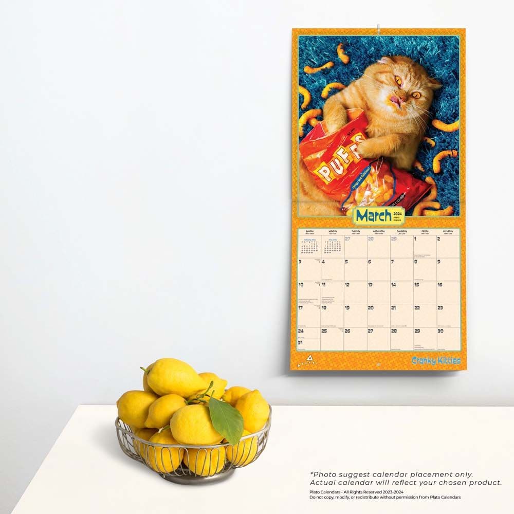Avanti Cranky Kitties 2025 Wall Calendar