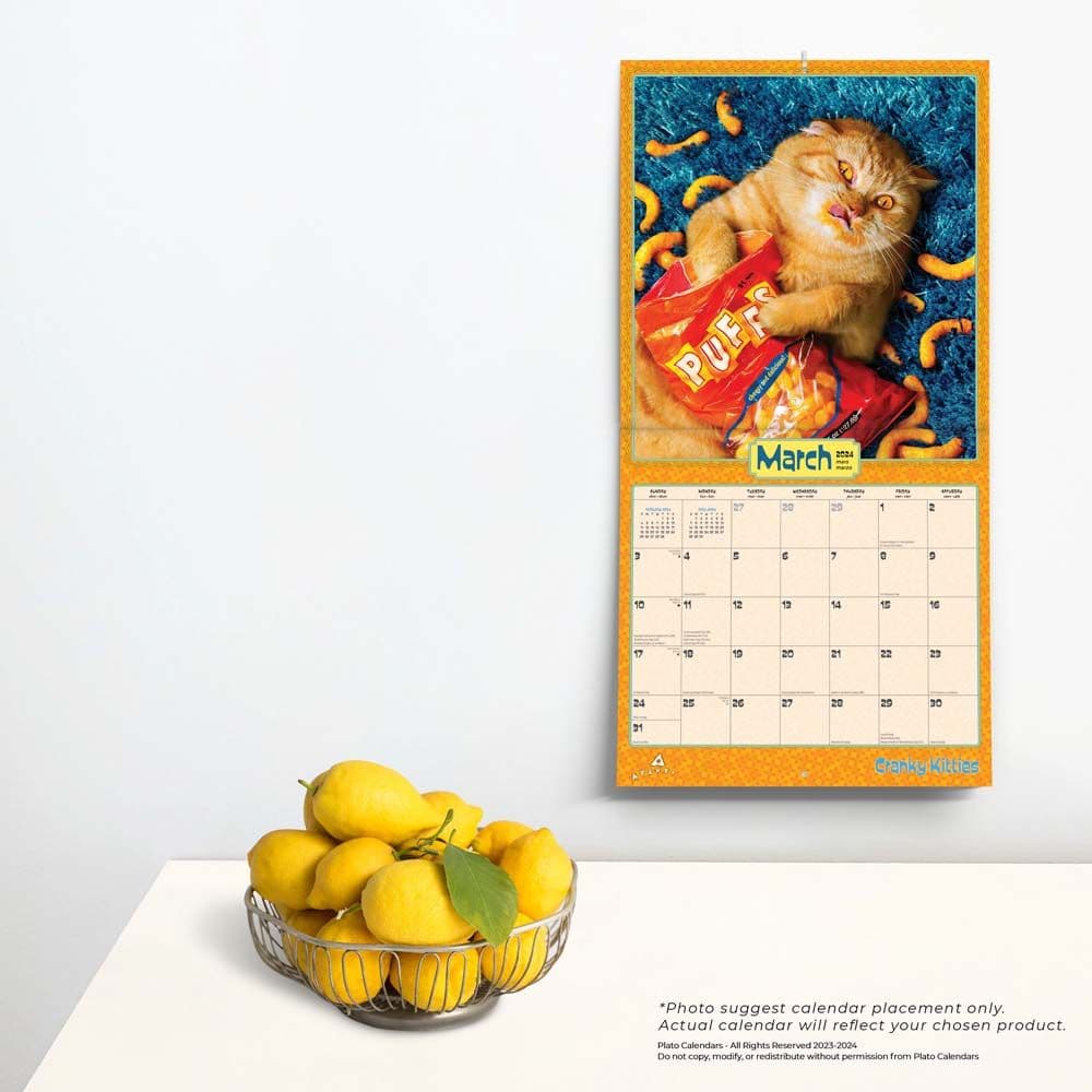 Avanti Cranky Kitties 2024 Wall Calendar