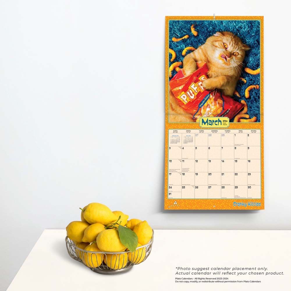 Avanti Cranky Kitties 2024 Wall Calendar Third Alternate Image width=&quot;1000&quot; height=&quot;1000&quot;