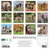 image Just Weimaraners 2025 Wall Calendar