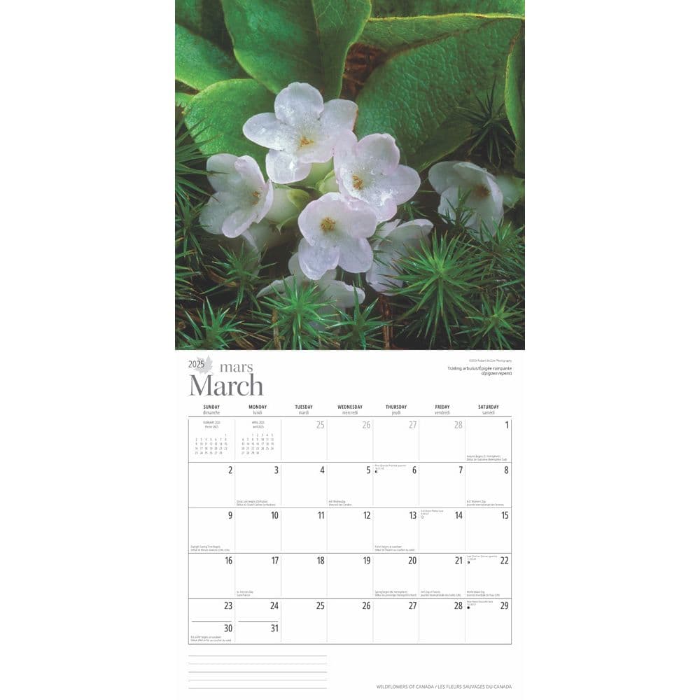 Wildflowers 2025 Wall Calendar interior image 2