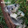 image Koalas 2027 Wall Calendar Main Product Image
