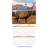 image Wildlife 2025 Wall Calendar Third Alternate Image width="1000" height="1000"