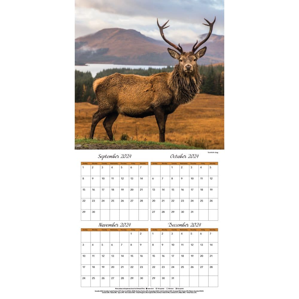 Wildlife 2025 Wall Calendar Third Alternate Image width="1000" height="1000"