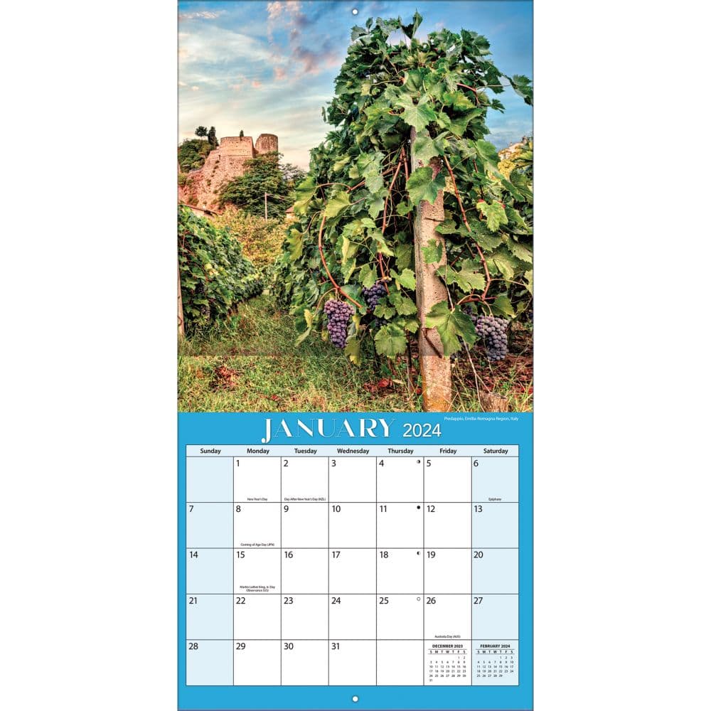 Vineyards 2024 Wall Calendar Second Alternate Image width=&quot;1000&quot; height=&quot;1000&quot;