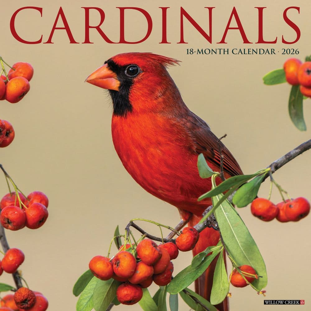 Cardinals 2026 Wall Calendar  Main Image
