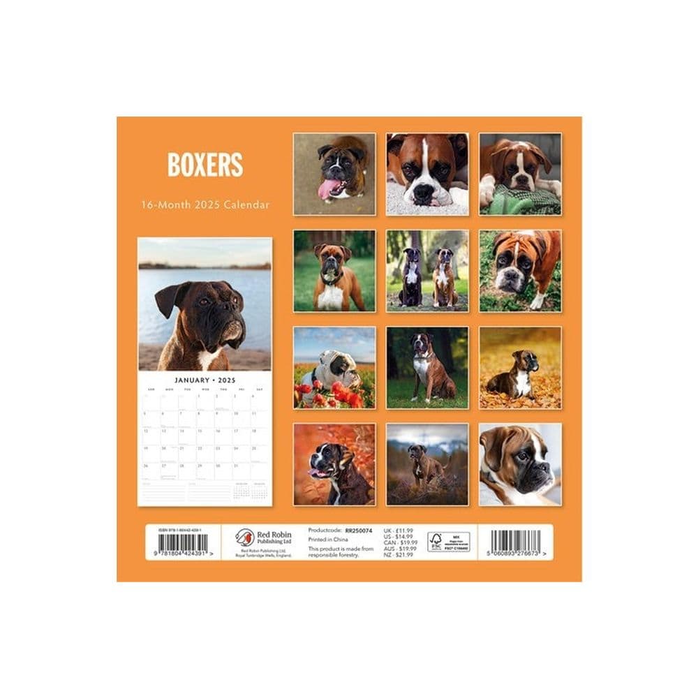 Boxers 2025 Wall Calendar Alt1