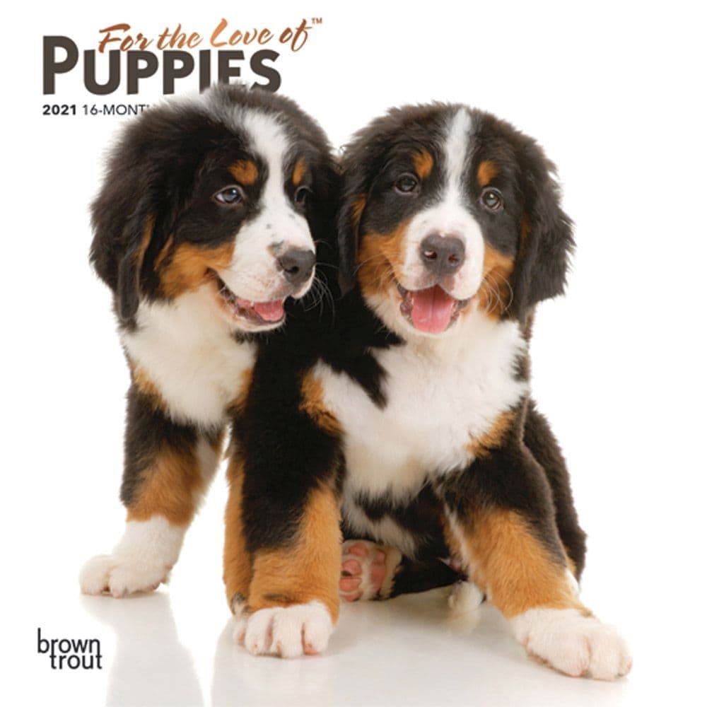 Love of Puppies Mini Wall Calendar