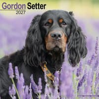 image Gordon Setter 2027 Wall Calendar Main Product Image