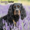 image Gordon Setter 2027 Wall Calendar Main Product Image