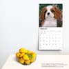 image Cavalier King Charles Puppies 2024 Wall Calendar Third Alternate Image width=&quot;1000&quot; height=&quot;1000&quot;