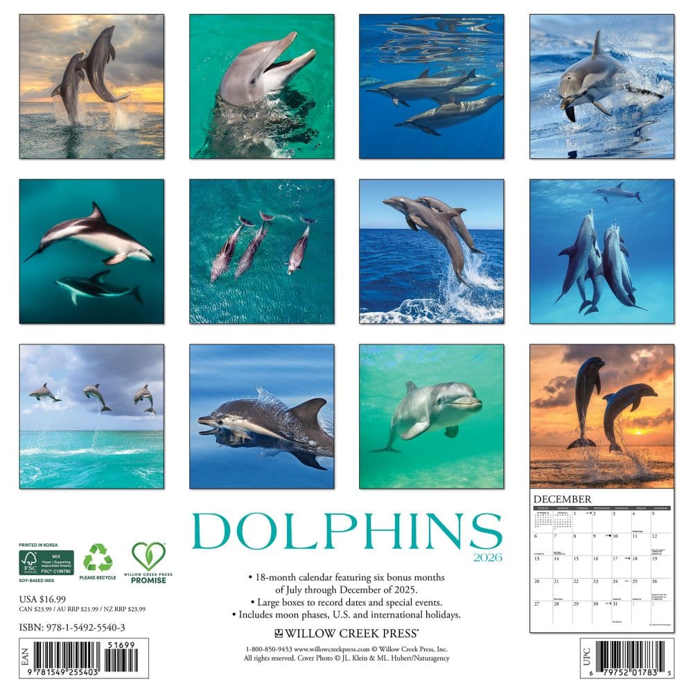 Dolphins 2026 Wall Calendar First Alternate Image