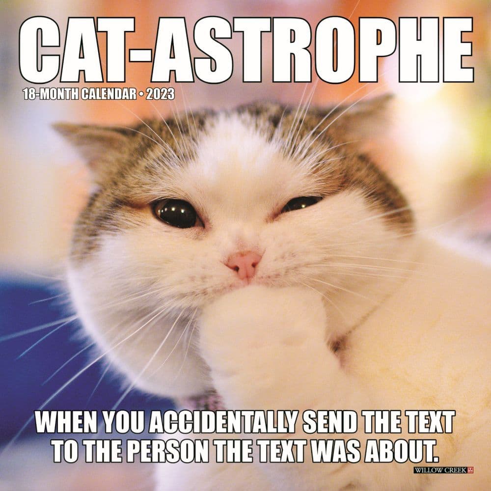 Meme Of The Month Calendar 2023 Cat Astrophe 2023 Mini Wall Calendar - Calendars.com