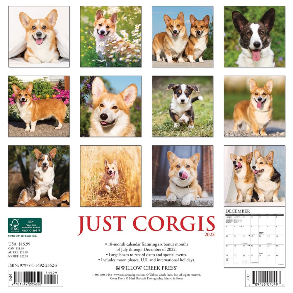 Corgis 2023 Wall Calendar - Calendars.com