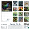 image Exotic Birds 2025 Wall Calendar First Alternate Image width="1000" height="1000"