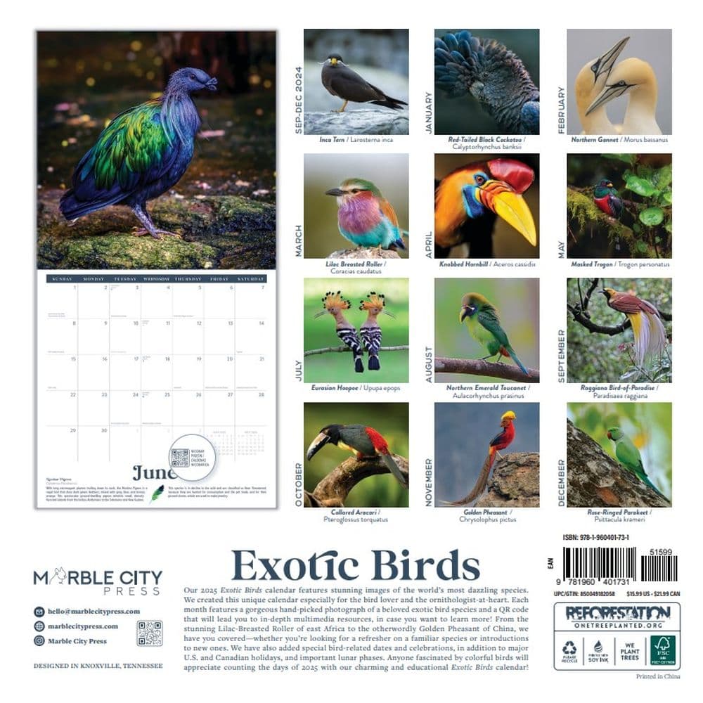 Exotic Birds 2025 Wall Calendar First Alternate Image width="1000" height="1000"