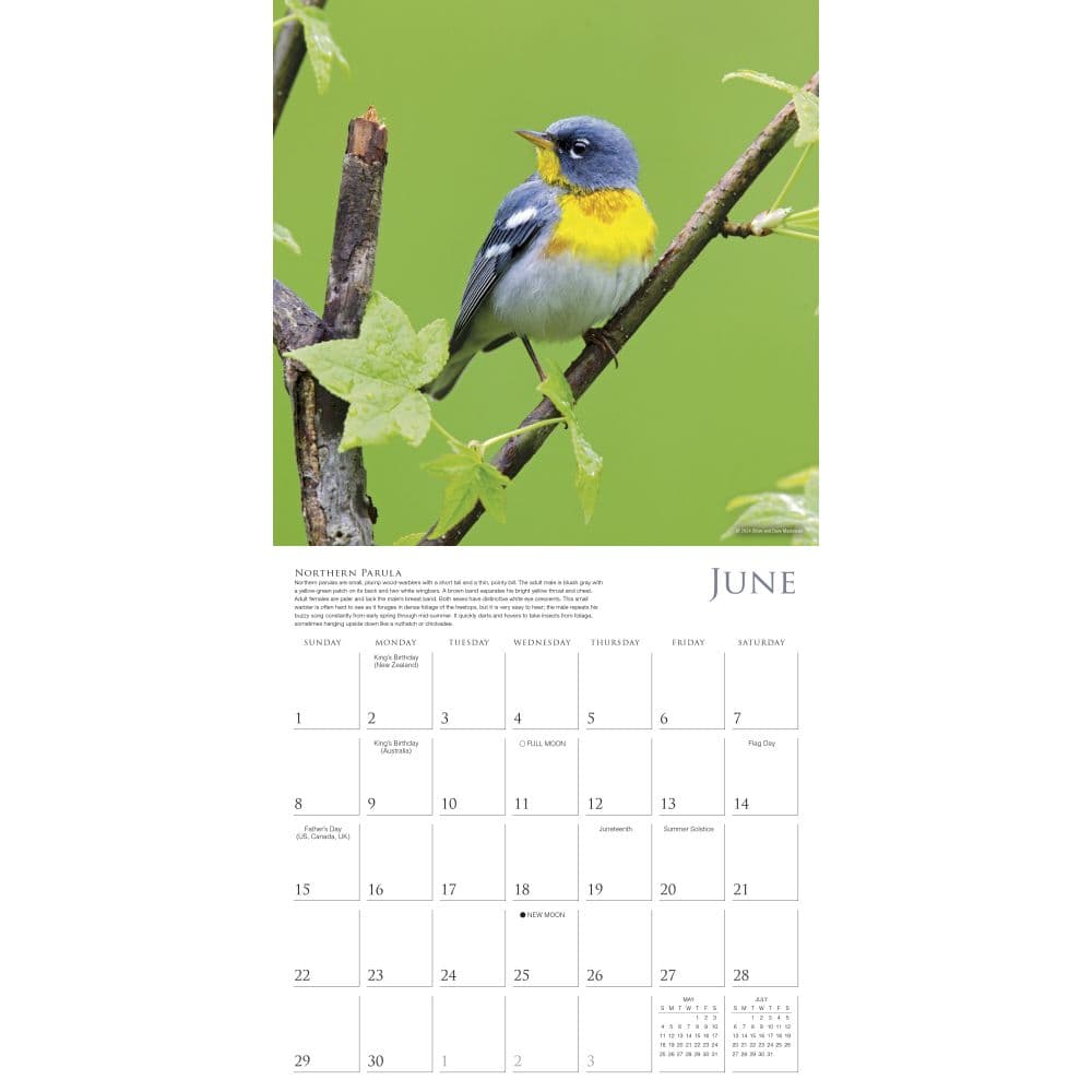 Songbirds 2025 Wall Calendar Third Alternate Image width=&quot;1000&quot; height=&quot;1000&quot;