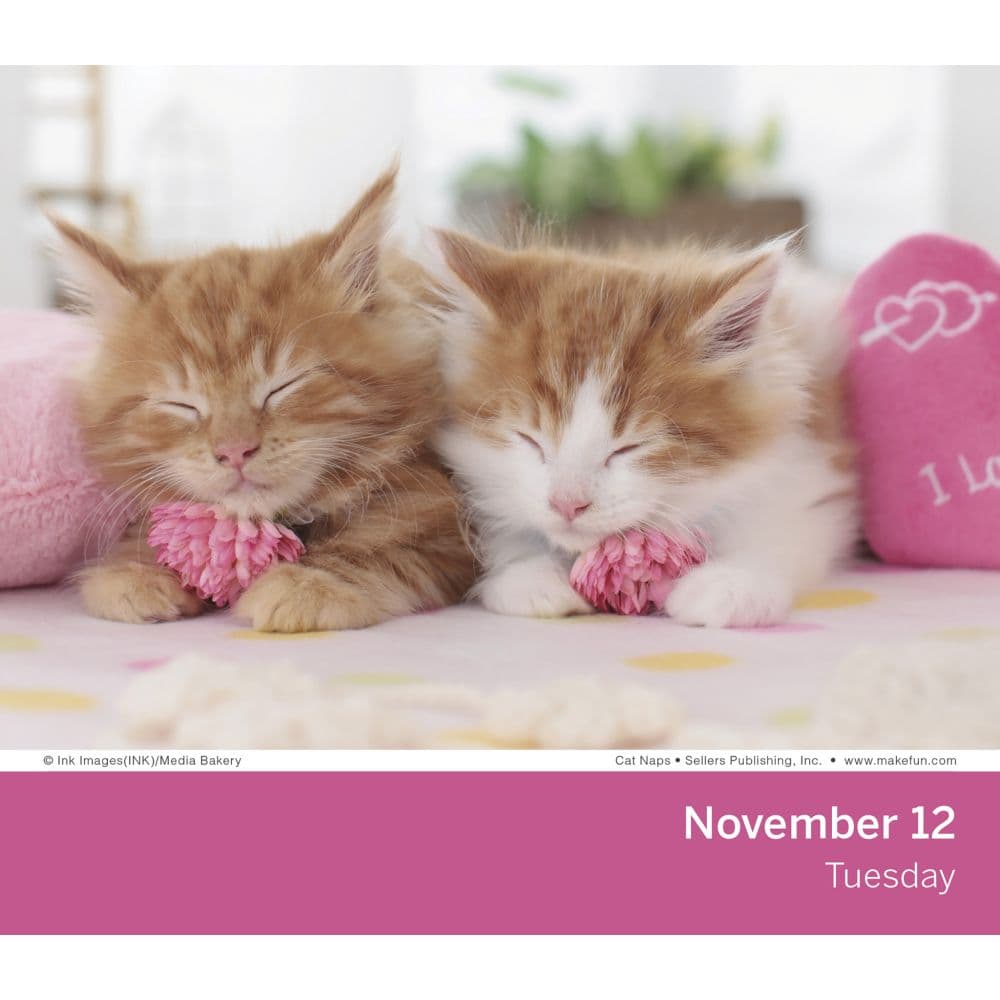 Cat Naps 2024 Desk Calendar