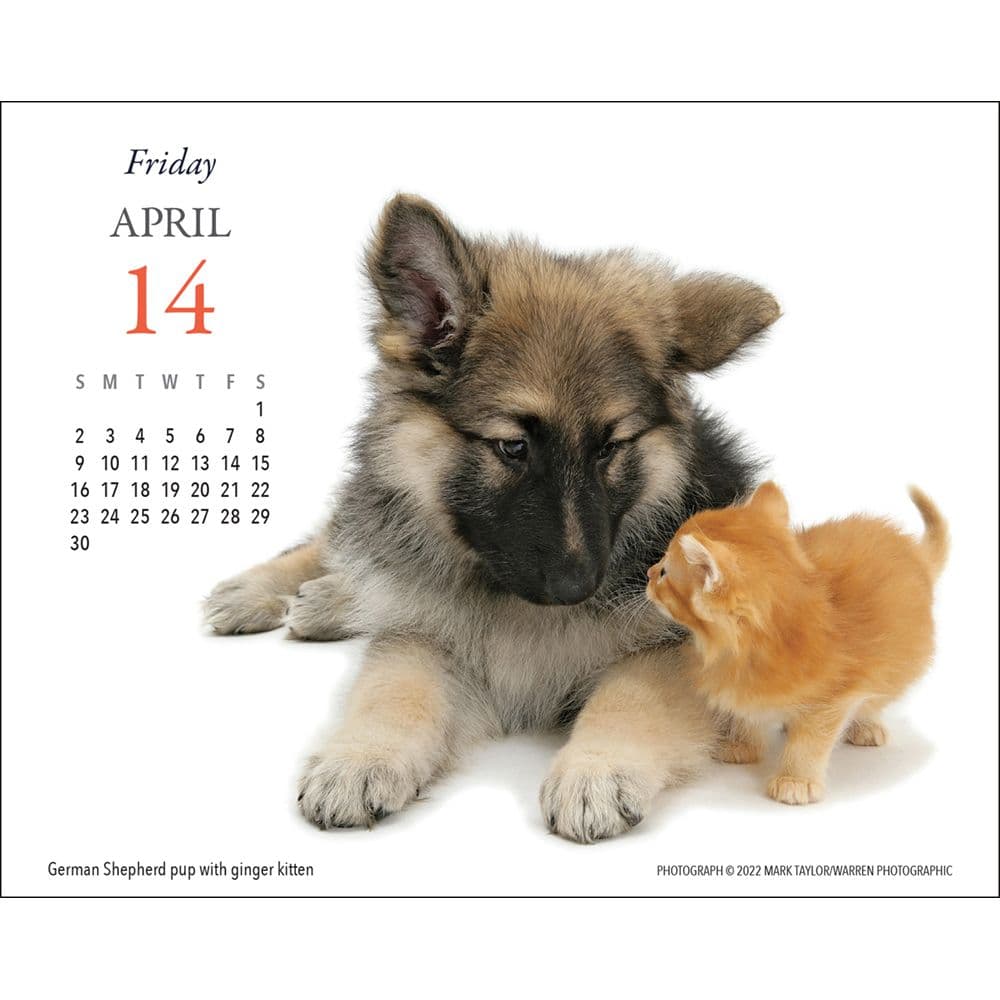Puppies and Friends 2023 Desk Calendar - Calendars.com