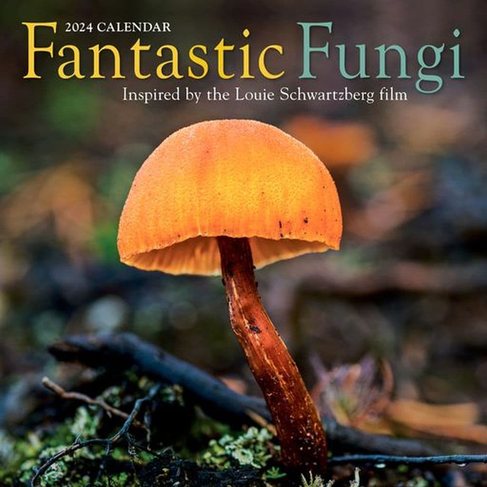 Fantastic Fungi 2024 Wall Calendar Main Image