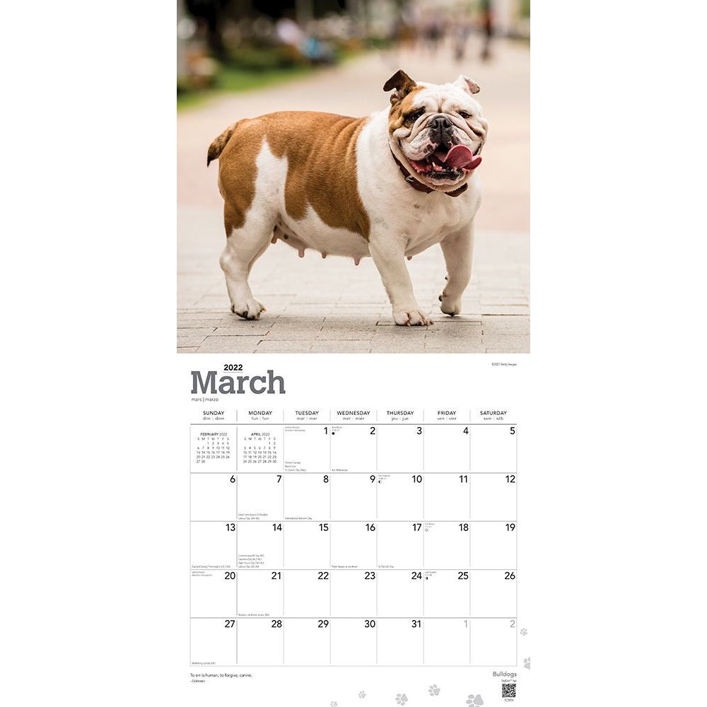 Bulldog Calendar 2022 Dog Breed Wall Calendar 15% OFF MULTI ORDERS! 