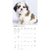 image Shih Tzu Puppies 2026 Wall Calendar Third Alternate Image
