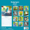 image Budgerigar 2027 Wall Calendar First Alternate Image