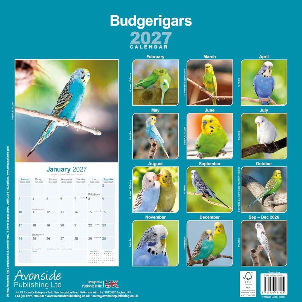 Budgerigar 2027 Wall Calendar First Alternate Image