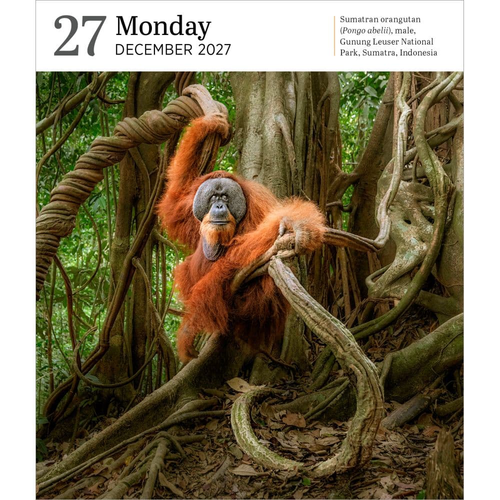 Audubon Nature 2027 Page-A-Day Gallery Desk Calendar Third Alternate Image