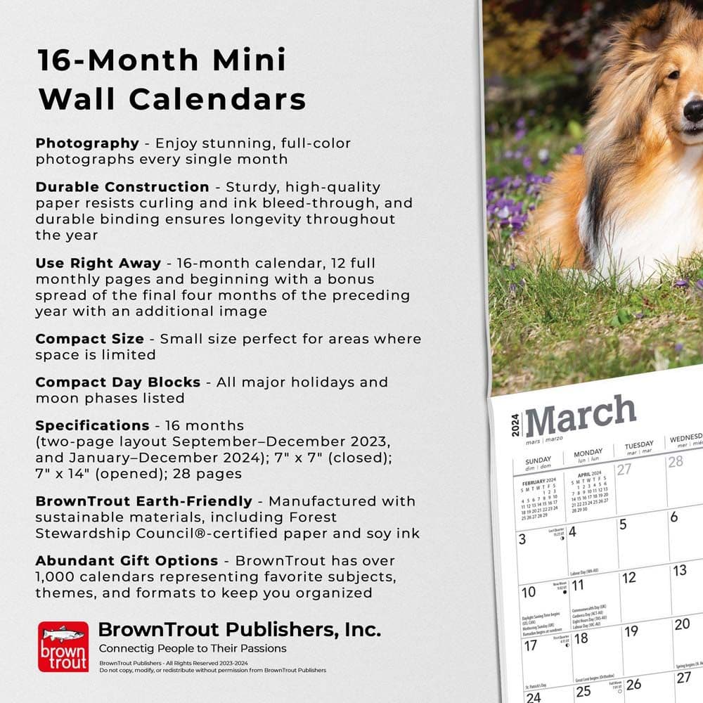 Shetland Sheepdogs 2024 Mini Wall Calendar Fourth Alternate Image width=&quot;1000&quot; height=&quot;1000&quot;