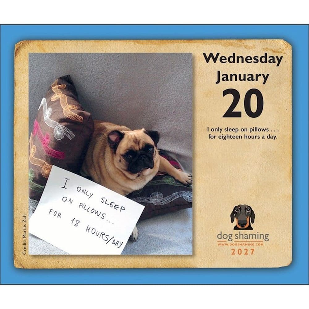 Dog Shaming 2027 Desk Calendar Second  Alternate Image