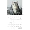 image Nuthin But Trouble 2024 Wall Calendar Second Alternate Image width=&quot;1000&quot; height=&quot;1000&quot;
