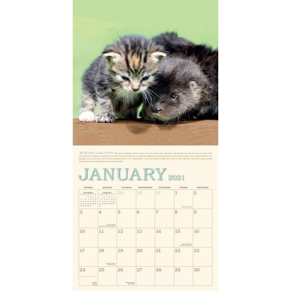 Unlikely Friendships Wall Calendar Calendars