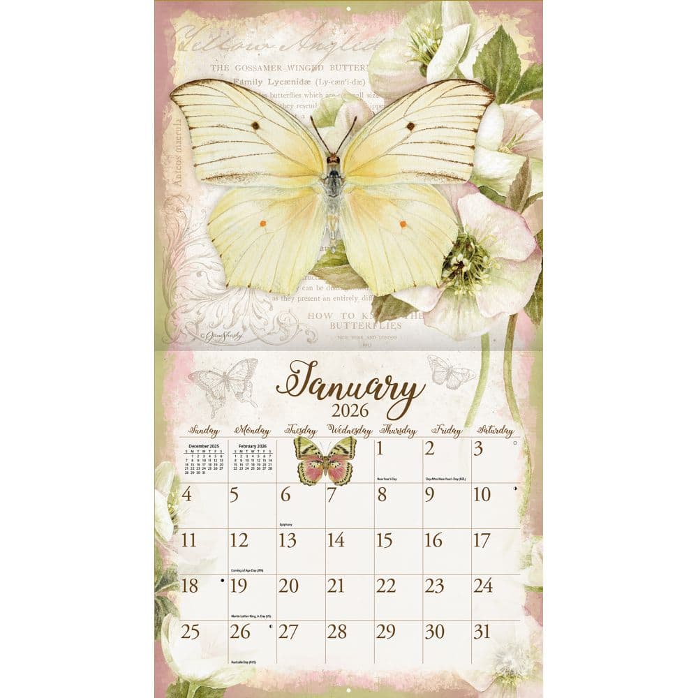 Butterflies 2026 Wall Calendar by Jane Shasky_ALT1