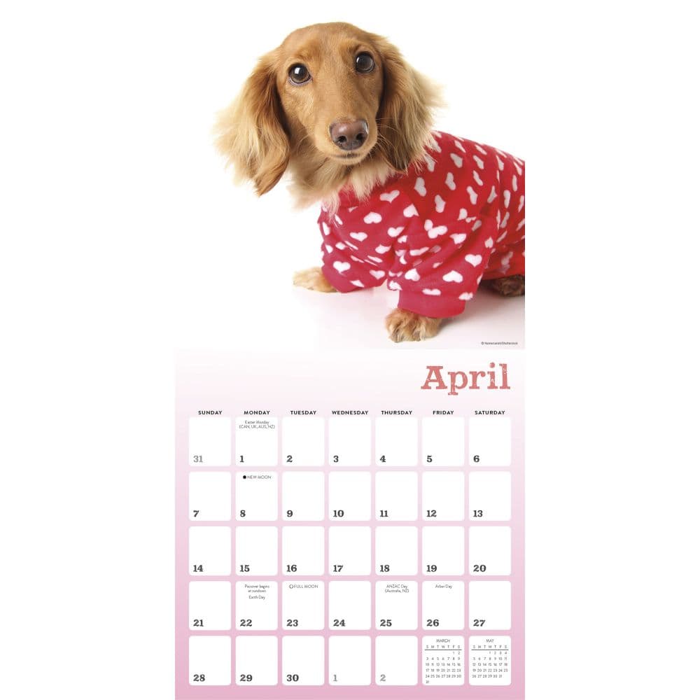 Pajama Pups 2024 Wall Calendar Second Alternate Image width=&quot;1000&quot; height=&quot;1000&quot;