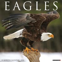 image Eagles 2026 Wall Calendar  Main Image